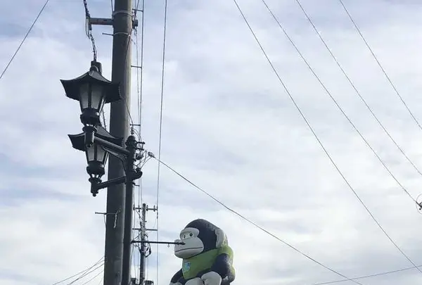 相馬市の写真・動画_image_176098