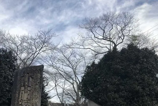 相馬小高神社の写真・動画_image_176105