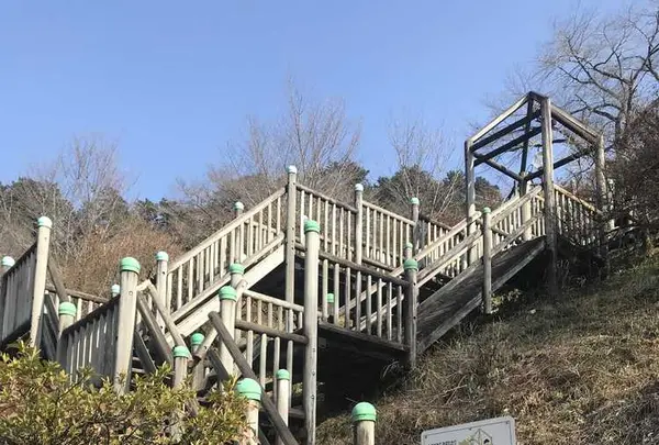 城山公園の写真・動画_image_176148