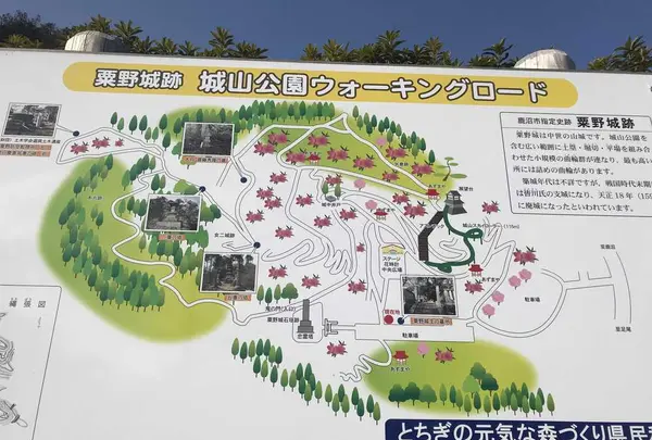 城山公園の写真・動画_image_176156