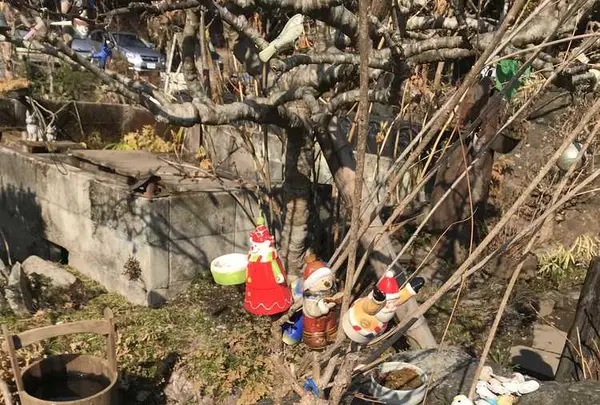 たろっぺ茶屋の写真・動画_image_176165