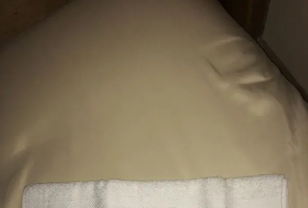 旅館cicacuの写真・動画_image_176167