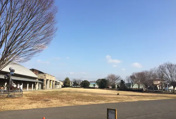 鹿沼市役所 文化活動交流館の写真・動画_image_176204