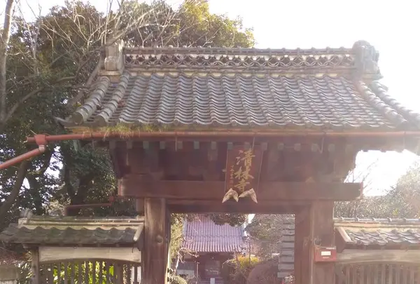 清林寺の写真・動画_image_176228