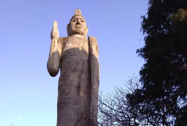 清林寺の写真・動画_image_176229