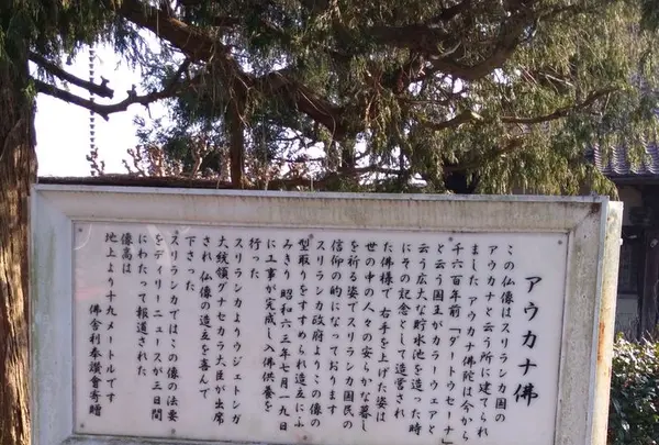 清林寺の写真・動画_image_176231
