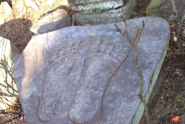 清林寺の写真・動画_image_176232