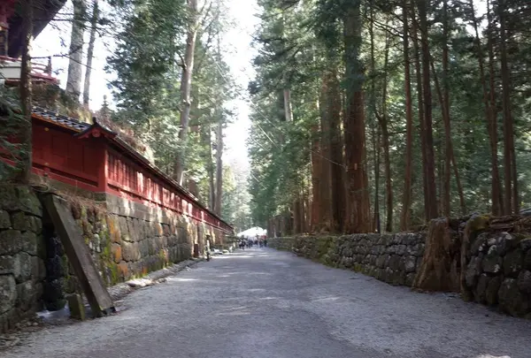 日光二荒山神社の写真・動画_image_176318