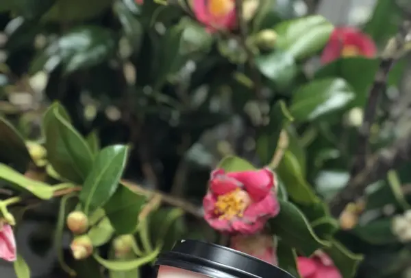 Turret Coffee （ターレットコーヒー）の写真・動画_image_176335