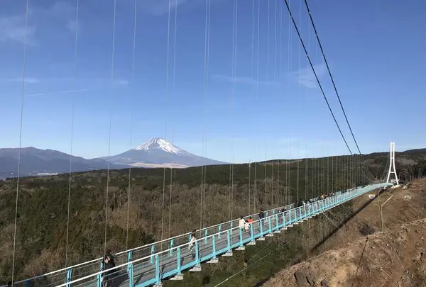 三島スカイウォークの写真・動画_image_176629