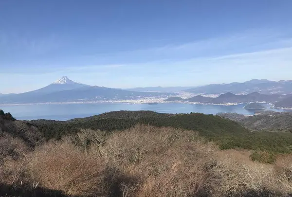 だるま山高原レストハウスの写真・動画_image_176643