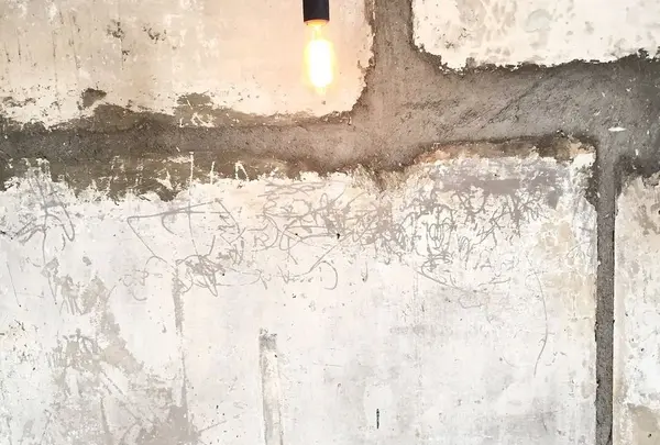 Onion Cafeの写真・動画_image_176826