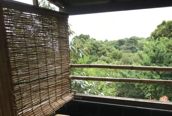 伊豆のうみの写真・動画_image_177005