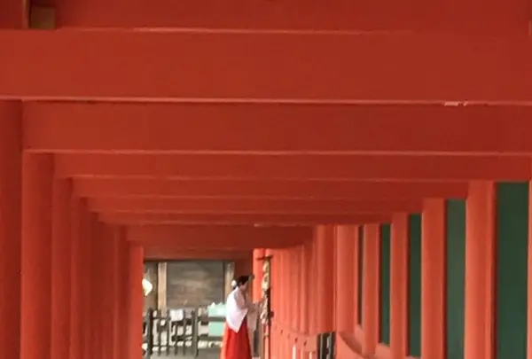 春日大社の写真・動画_image_177016