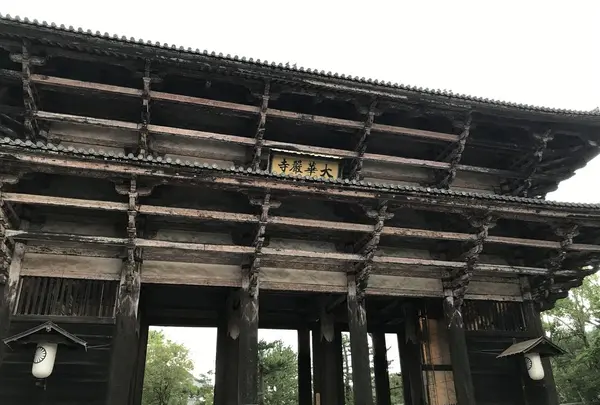 東大寺の写真・動画_image_177046