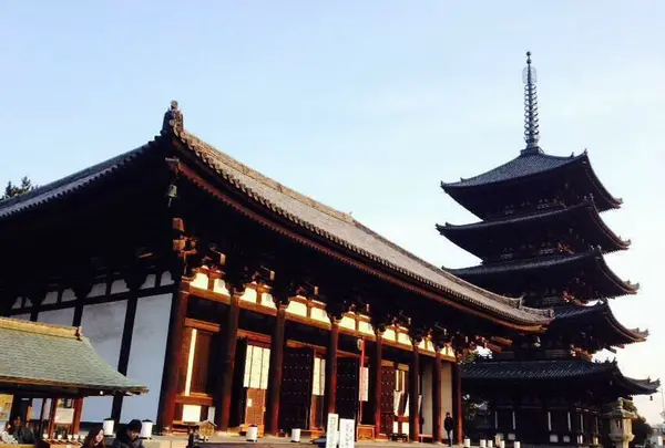 興福寺の写真・動画_image_177054