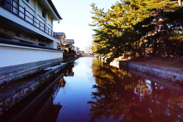 亀城公園の写真・動画_image_177236