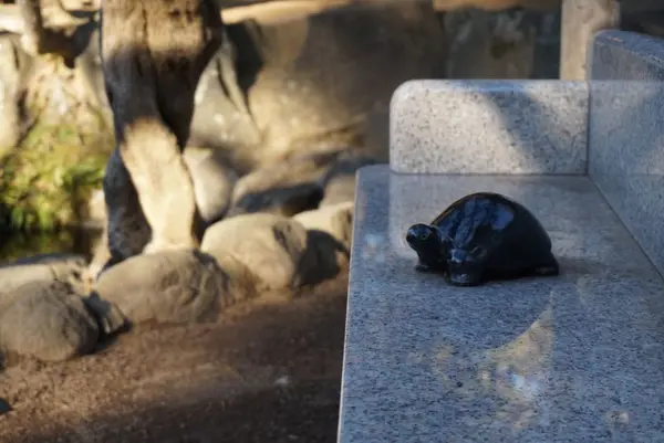 亀城公園の写真・動画_image_177238