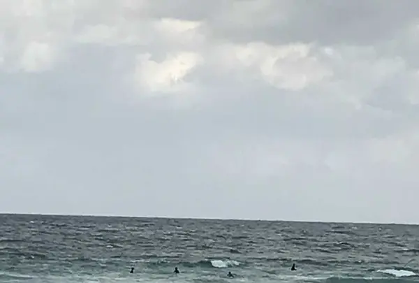 八丁浜シーサイドパークの写真・動画_image_177302