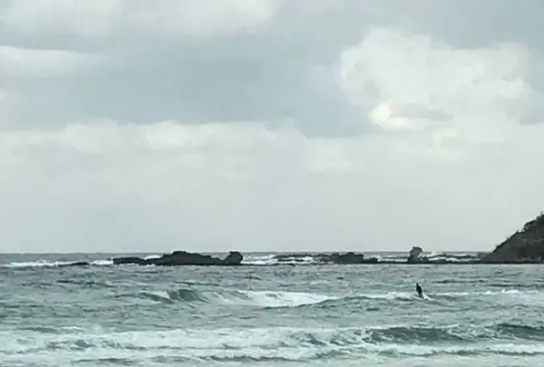 八丁浜シーサイドパークの写真・動画_image_177304