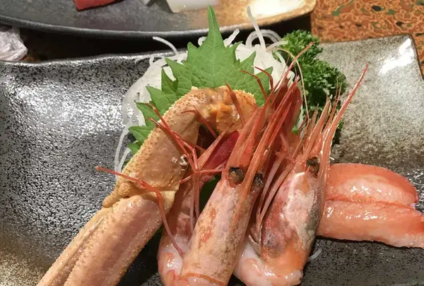 島田荘の写真・動画_image_177360