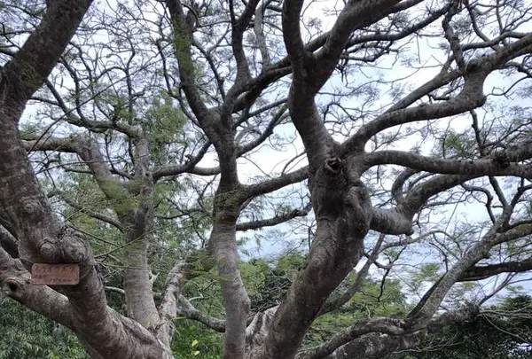 玉泉洞の写真・動画_image_177550