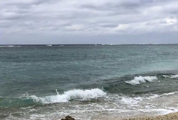 沖縄美ら海水族館の写真・動画_image_177553