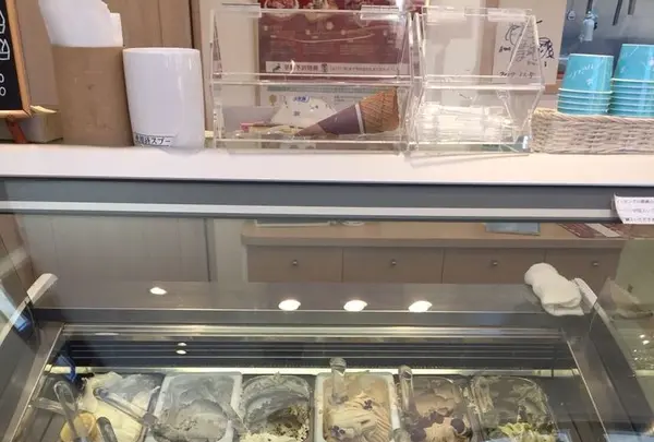 Honey Bの写真・動画_image_177656