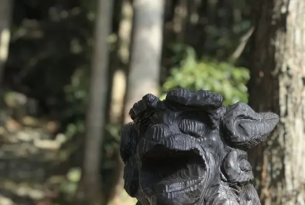 岩戸神社の写真・動画_image_177685