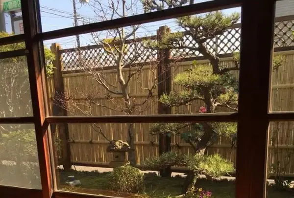 創作フレンチ松庵の写真・動画_image_177763