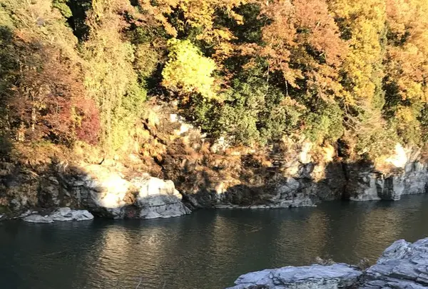 長瀞渓谷（岩畳）の写真・動画_image_178002