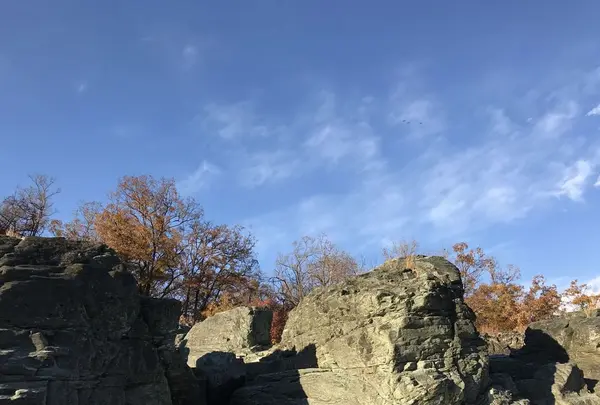 長瀞ライン下りの写真・動画_image_178009