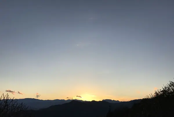 宝登山の写真・動画_image_178011
