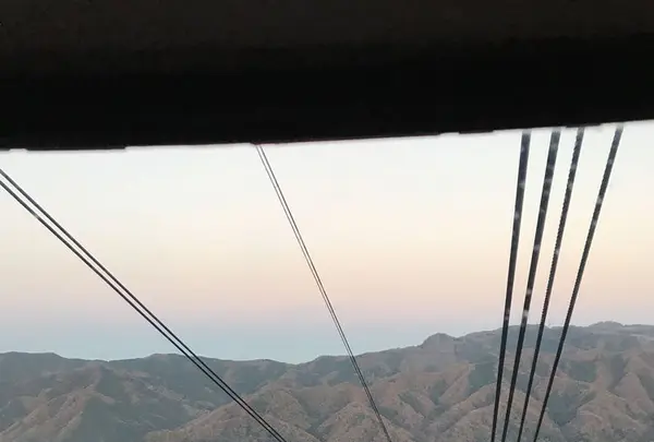 宝登山の写真・動画_image_178012