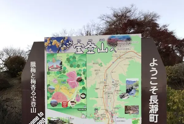 宝登山の写真・動画_image_178013