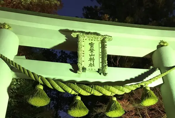 宝登山神社の写真・動画_image_178014
