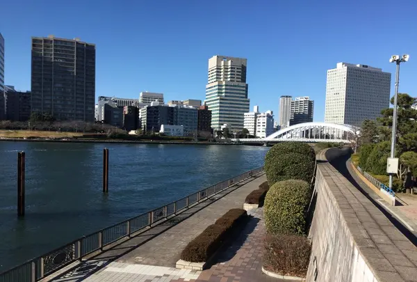 永代橋の写真・動画_image_178434