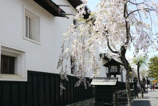 白壁土蔵街の写真・動画_image_178642