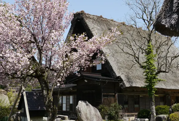 白川郷の写真・動画_image_178653