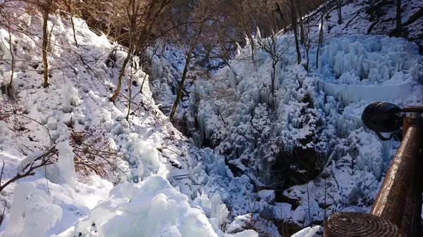 尾ノ内渓谷氷柱の写真・動画_image_178680