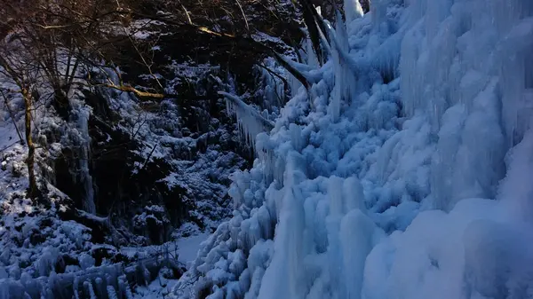 尾ノ内渓谷氷柱の写真・動画_image_178684