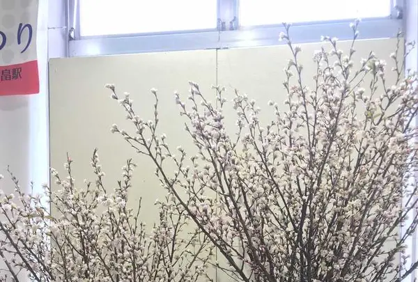 山形駅の写真・動画_image_178701