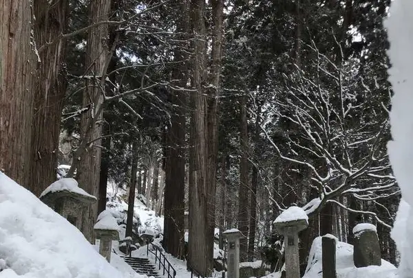 山寺の石段の写真・動画_image_178758