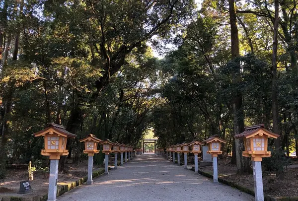 宮崎神宮の写真・動画_image_178892