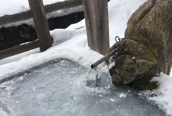 さざえ堂の写真・動画_image_178954