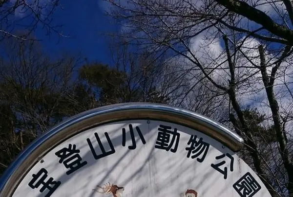 宝登山小動物公園の写真・動画_image_178965