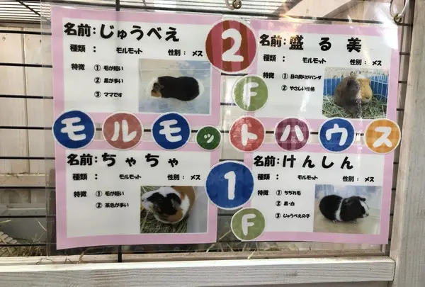 宝登山小動物公園の写真・動画_image_178967