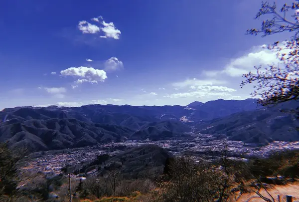 宝登山の写真・動画_image_178969