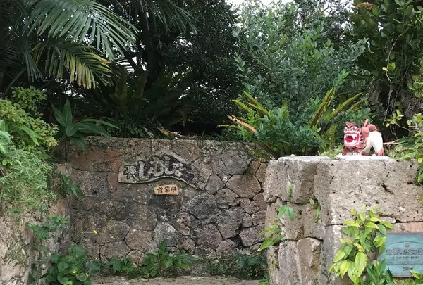 しむじょうの写真・動画_image_179055