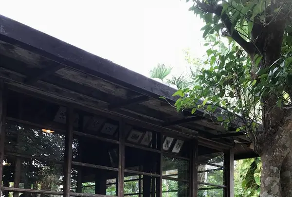 しむじょうの写真・動画_image_179056